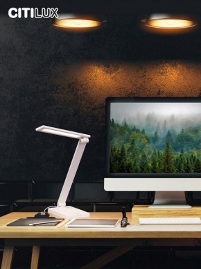 Настольная лампа офисная Citilux Ньютон CL803080 в Миассе - miass.mebel24.online | фото 10