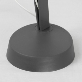 Настольная лампа офисная Lussole Union LSP-0673 в Миассе - miass.mebel24.online | фото 6