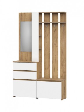НЕКСТ 1 Вешалка с зеркалом + Шкаф 2-х ств. с ящиками в Миассе - miass.mebel24.online | фото 4