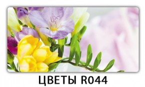 Обеденный раздвижной стол Бриз с фотопечатью Цветы R044 в Миассе - miass.mebel24.online | фото 11