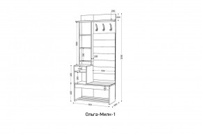 ОЛЬГА-МИЛК 1 Прихожая в Миассе - miass.mebel24.online | фото 2