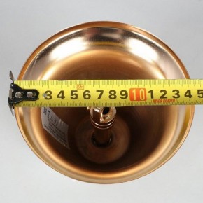 Подвесная люстра Aployt Alessio APL.858.03.31 в Миассе - miass.mebel24.online | фото 8