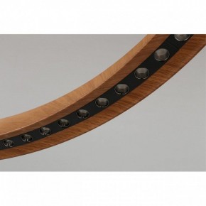Подвесная люстра Aployt Justyna APL.787.03.75 в Миассе - miass.mebel24.online | фото 10