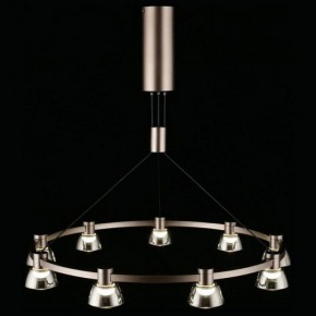 Подвесная люстра Aployt Rezeda APL.788.03.09 в Миассе - miass.mebel24.online | фото 12