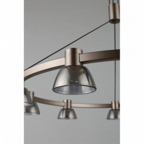 Подвесная люстра Aployt Rezeda APL.788.03.09 в Миассе - miass.mebel24.online | фото 14