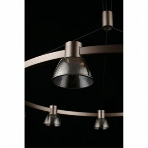 Подвесная люстра Aployt Rezeda APL.788.03.09 в Миассе - miass.mebel24.online | фото 16