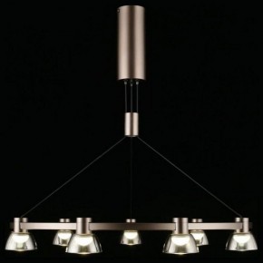 Подвесная люстра Aployt Rezeda APL.788.03.09 в Миассе - miass.mebel24.online | фото 7