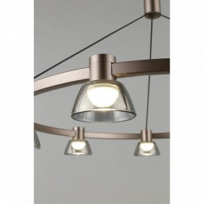 Подвесная люстра Aployt Rezeda APL.788.03.09 в Миассе - miass.mebel24.online | фото 8
