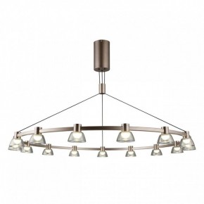 Подвесная люстра Aployt Rezeda APL.788.03.15 в Миассе - miass.mebel24.online | фото 2