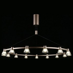Подвесная люстра Aployt Rezeda APL.788.03.15 в Миассе - miass.mebel24.online | фото 9