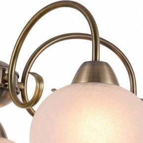 Подвесная люстра Arte Lamp Margo A9317LM-5AB в Миассе - miass.mebel24.online | фото 3