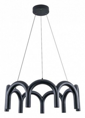 Подвесная люстра Arte Lamp Warhol A3258LM-45BK в Миассе - miass.mebel24.online | фото 2