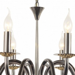 Подвесная люстра Arti Lampadari Pontone Pontone E 1.1.8 PB в Миассе - miass.mebel24.online | фото 3