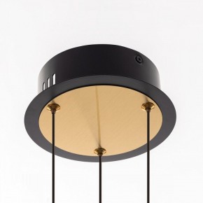 Подвесная люстра Citilux HELLY CL211042 в Миассе - miass.mebel24.online | фото 11