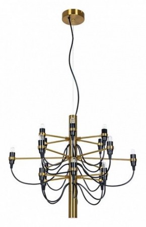 Подвесная люстра Divinare Molto 8030/17 LM-18 в Миассе - miass.mebel24.online | фото 2