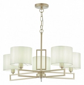 Подвесная люстра EVOLUCE Danae SLE105803-05 в Миассе - miass.mebel24.online | фото 2
