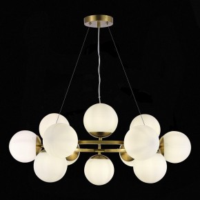 Подвесная люстра EVOLUCE Fratta SLE1191-203-12 в Миассе - miass.mebel24.online | фото 4