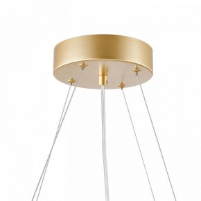 Подвесная люстра Favourite Asterismo 4448-6P в Миассе - miass.mebel24.online | фото 9