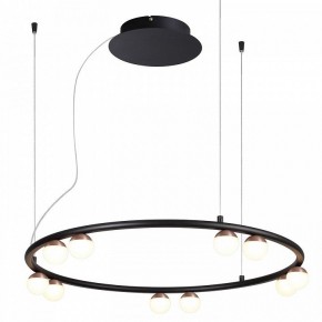 Подвесная люстра Favourite Knopp 4320-10P в Миассе - miass.mebel24.online | фото 2