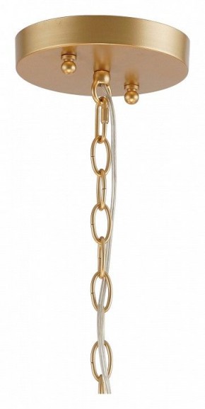 Подвесная люстра Favourite Mateo 2634-8P в Миассе - miass.mebel24.online | фото 12