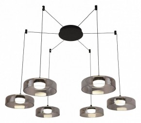 Подвесная люстра Favourite Platta 4490-6P в Миассе - miass.mebel24.online | фото