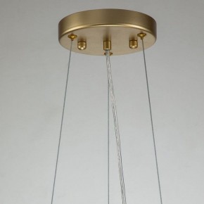 Подвесная люстра Favourite Rays 4058-8P в Миассе - miass.mebel24.online | фото 10