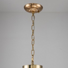 Подвесная люстра Favourite Rocca 2689-6P в Миассе - miass.mebel24.online | фото 4