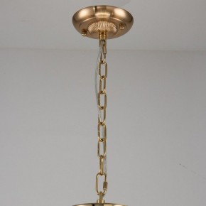 Подвесная люстра Favourite Rocca 2689-9P в Миассе - miass.mebel24.online | фото 2