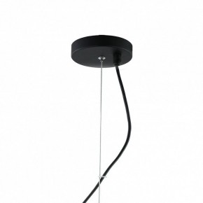 Подвесная люстра Favourite Traube 2359-6P в Миассе - miass.mebel24.online | фото 4
