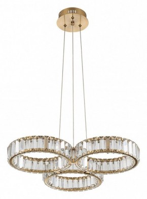 Подвесная люстра Indigo Favo V000073L в Миассе - miass.mebel24.online | фото 2