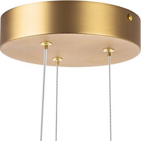 Подвесная люстра Lightstar Bergamo 745247 в Миассе - miass.mebel24.online | фото 6