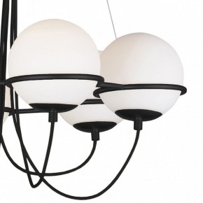 Подвесная люстра Lightstar Globo 803267 в Миассе - miass.mebel24.online | фото 5