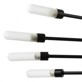Подвесная люстра Lightstar Ragno 733187 в Миассе - miass.mebel24.online | фото 5