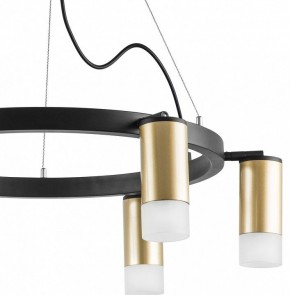 Подвесная люстра Lightstar Rullo LR0164061 в Миассе - miass.mebel24.online | фото 4