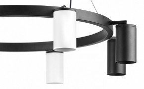 Подвесная люстра Lightstar Rullo LR018364374 в Миассе - miass.mebel24.online | фото 5