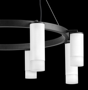 Подвесная люстра Lightstar Rullo LR0183648641 в Миассе - miass.mebel24.online | фото 5