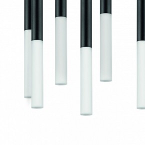 Подвесная люстра Lightstar Tubo L8T747137 в Миассе - miass.mebel24.online | фото 5
