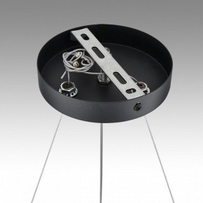 Подвесная люстра Lumion Luazana 8242/6 в Миассе - miass.mebel24.online | фото 7