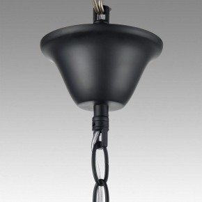 Подвесная люстра Lumion Nana 8106/6 в Миассе - miass.mebel24.online | фото 6