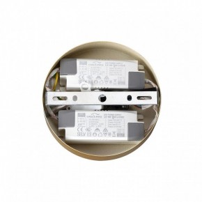 Подвесная люстра Lumion Parker 6564/60L в Миассе - miass.mebel24.online | фото 6