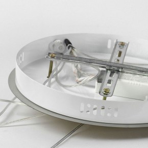 Подвесная люстра Lussole Cayuga LSP-7183 в Миассе - miass.mebel24.online | фото 4