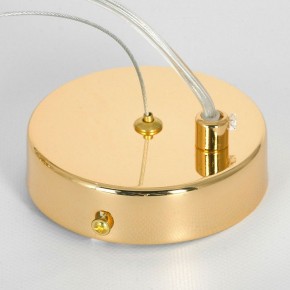 Подвесная люстра Lussole Davie LSP-8778 в Миассе - miass.mebel24.online | фото 5