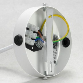 Подвесная люстра Lussole Elmira LSP-8205 в Миассе - miass.mebel24.online | фото 4