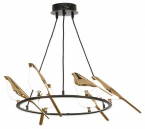 Подвесная люстра Lussole Jasper LSP-8641 в Миассе - miass.mebel24.online | фото 2