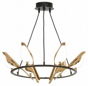 Подвесная люстра Lussole Jasper LSP-8641 в Миассе - miass.mebel24.online | фото 4