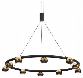 Подвесная люстра Lussole Lassen LSP-7253 в Миассе - miass.mebel24.online | фото