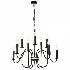 Подвесная люстра Lussole Roosevelt LSP-8198 в Миассе - miass.mebel24.online | фото 2
