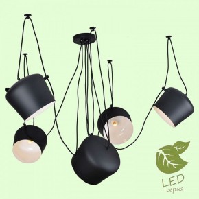 Подвесная люстра Lussole Shirley GRLSP-9919 в Миассе - miass.mebel24.online | фото