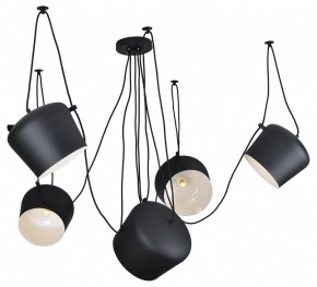 Подвесная люстра Lussole Shirley GRLSP-9919 в Миассе - miass.mebel24.online | фото 2
