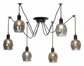 Подвесная люстра Lussole Shirley LSP-8436 в Миассе - miass.mebel24.online | фото 2